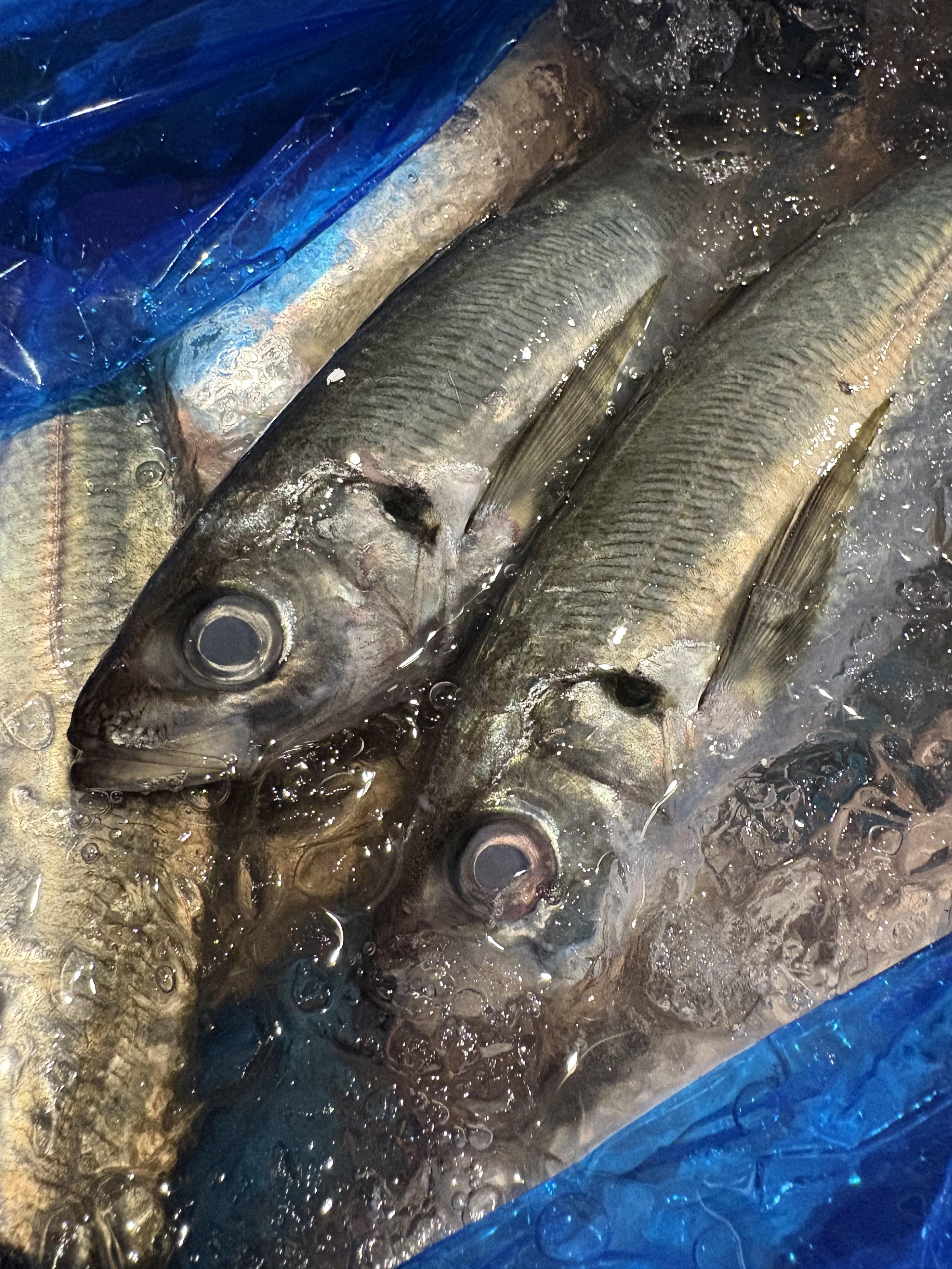 肌寒い季節となってきました