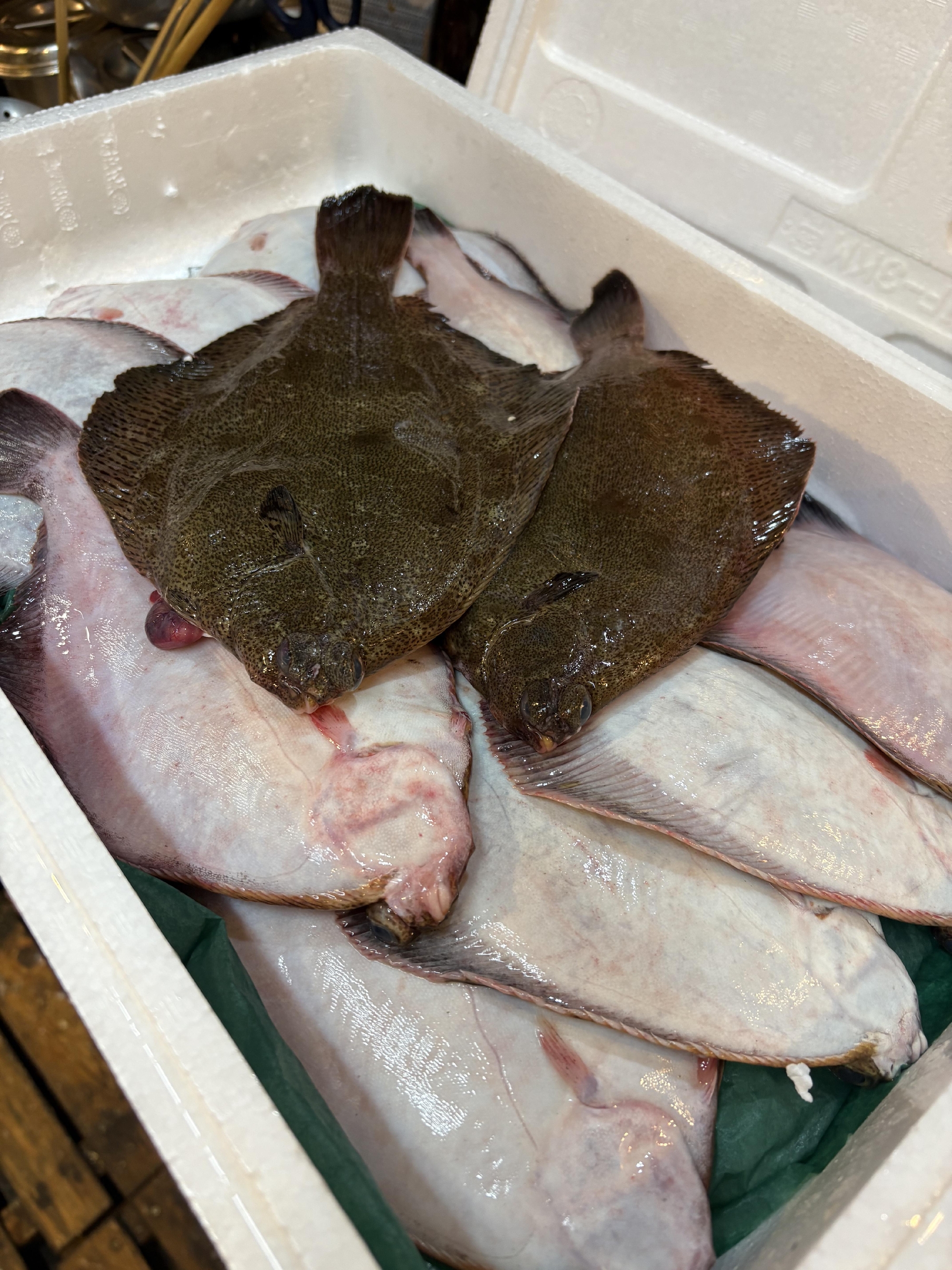 常磐の目板ガレイ