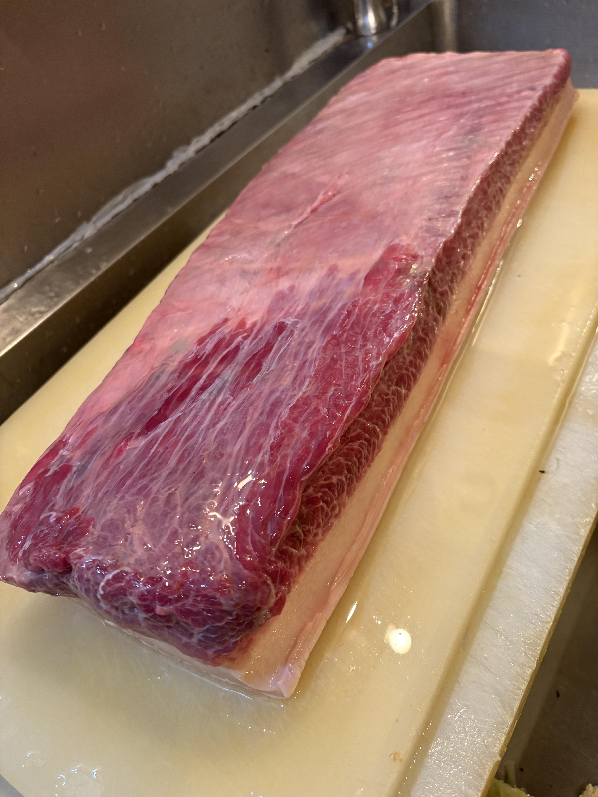 紀伊長島　ミンク鯨