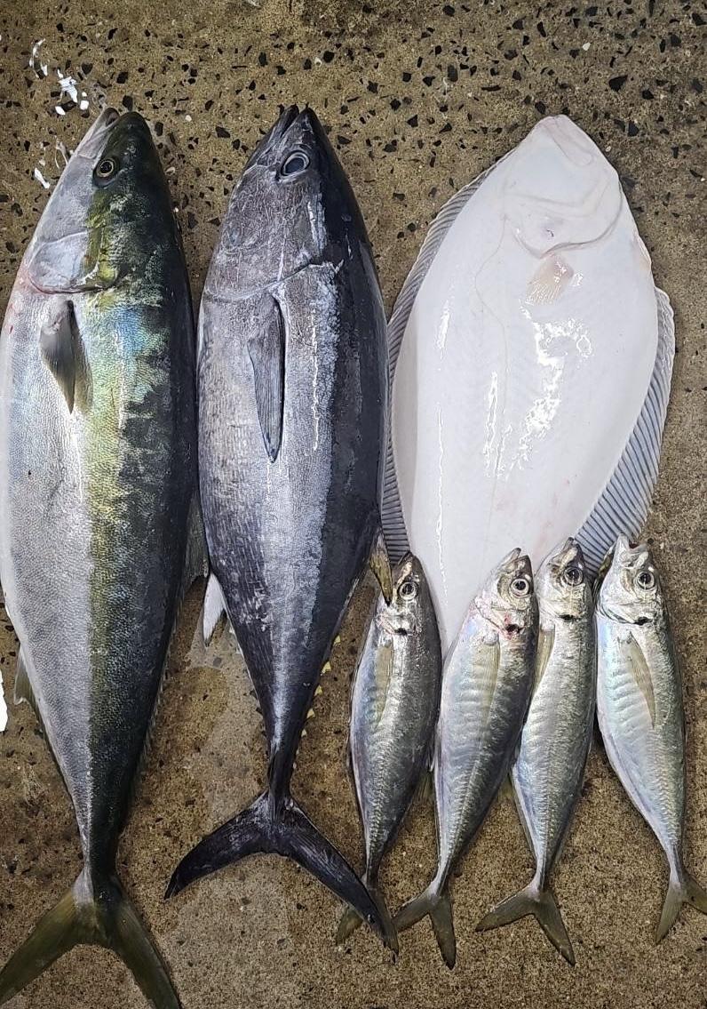 五島列島　福江島から